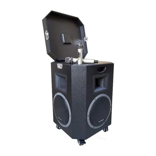 Regenfester 15-Zoll-Full-Range-PRO-Audio-Lautsprecher, integriert in Flightcase