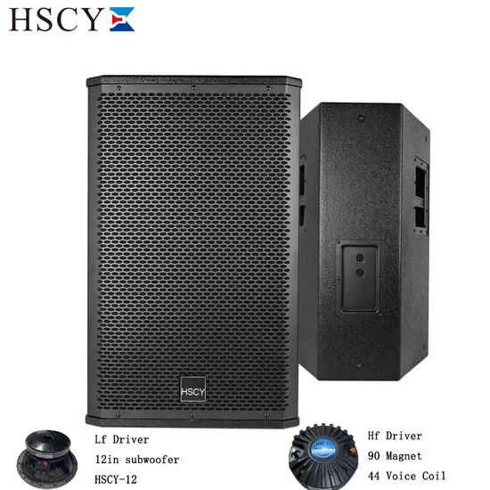 12 Zoll passiver professioneller Soundsäulenlautsprecher 2-Wege-Line-Array-System mit Stromversorgung
