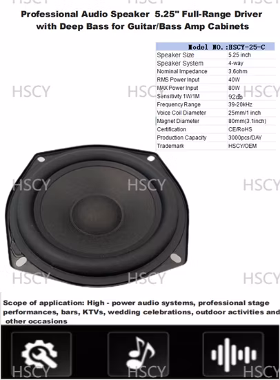 Professional Audio Speaker 5.25