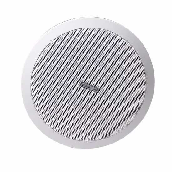 Lucky Tone ABS 100 V 3/6 W 6 Zoll Breitband-Deckenlautsprecher für Beschallungssysteme