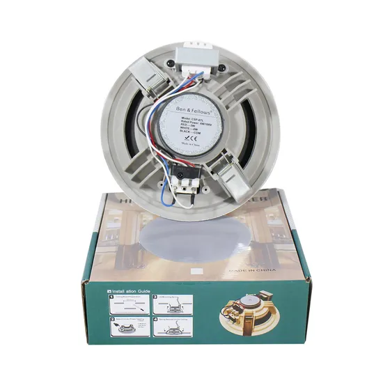 6,5 Zoll Full Range ABS Deckenlautsprecher ohne Rand mit rahmenlosem PA-Hintergrund für öffentliche Orte