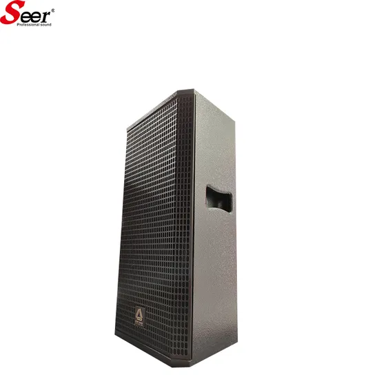 Seer Audio Hochwertige 5-Zoll-Breitbandlautsprecherbox Professionelle Audio-Soundausrüstung